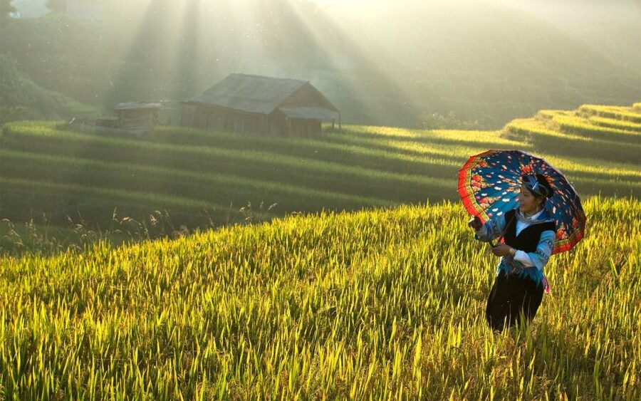2 Day-2 Night Sapa Trekking: Overnight Train &Limousine Bus - Why this Hanoi to Sapa route works