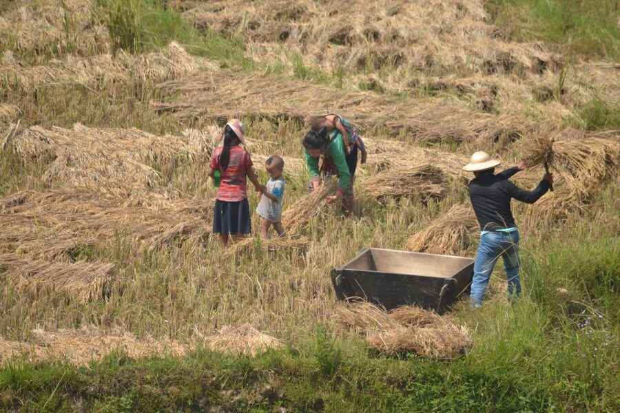 2 Day-2 Night Sapa Trekking: Overnight Train &Limousine Bus - Lao Chai to Ta Van: the demanding afternoon