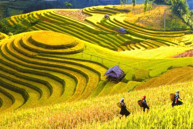2 Days 1 night Sapa Tour from Hanoi by Limousine/Sleeper bus - Why this two-day Sapa trip works for a short Vietnam visit