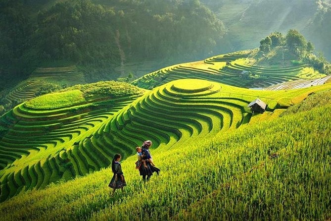 2 Days 1 night Sapa Tour from Hanoi by Limousine/Sleeper bus - The longer walk through Y Linh Ho and Lao Chai