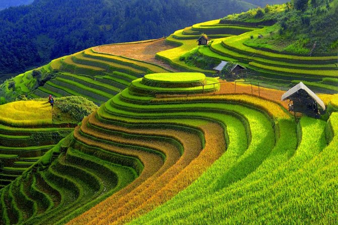 2 Days 1 night Sapa Tour from Hanoi by Limousine/Sleeper bus - Should you book the $149.99 Sapa tour?