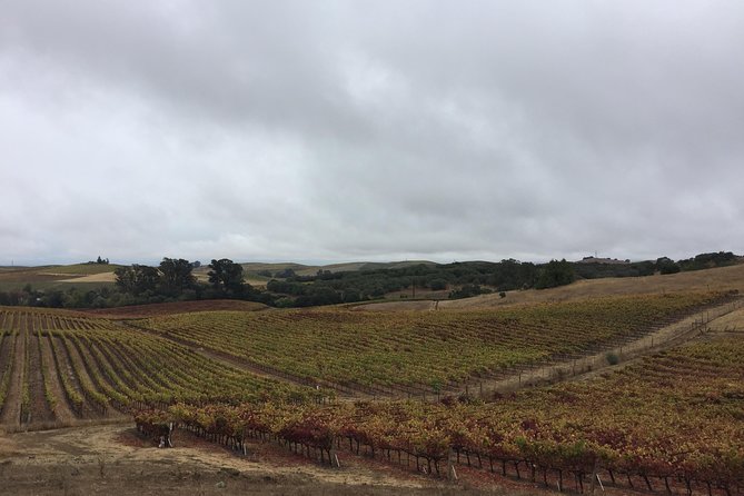 6-Hour Private Limousine Wine Country Tour of Napa or Sonoma - Why the limousine matters for a wine day