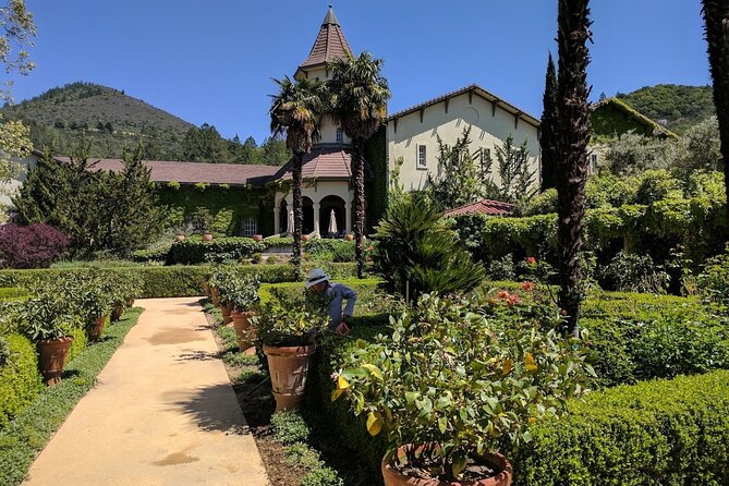 6 Hour Private Wine Country Tour (Sedan, SUV or Limo) - What is included, and where the extras begin