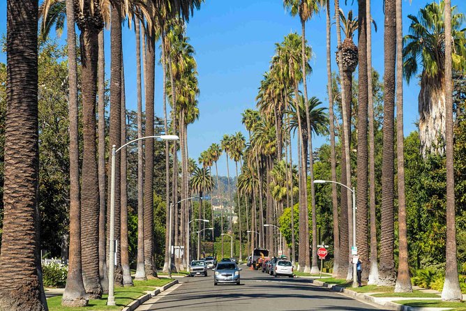 6-HourTour of Los Angeles, Hollywood, Beverly and other cities!! - Sunset Strip after dark in spirit