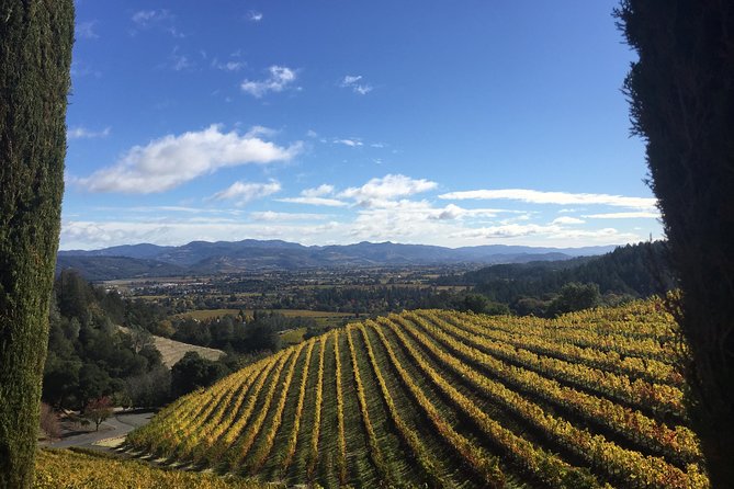 8-Hour, Private Limo Wine Tour to Napa from San Francisco - Eight hours in Napa Valley, shaped around your group