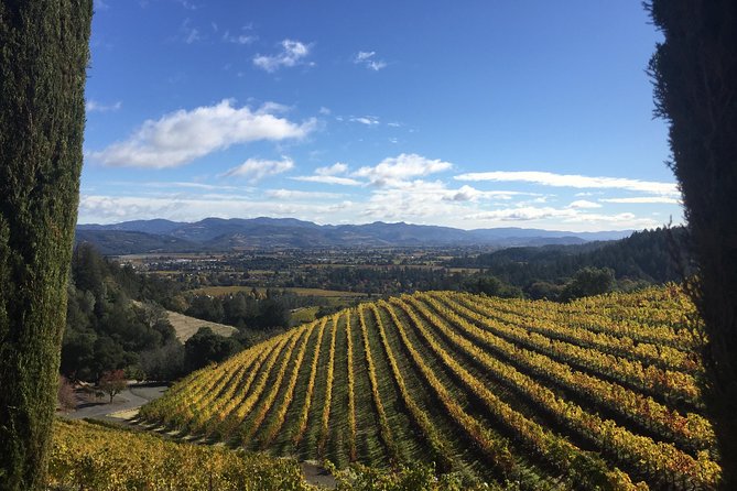 8-Hours Private Limo(up to 8 pass.) Wine Tour of Napa Valley from San Francisco - Chauffeurs who make the difference