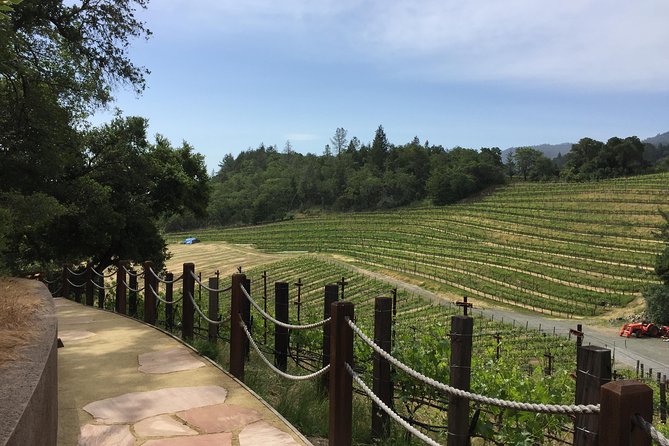 8-Hours Private Limo(up to 8 pass.) Wine Tour of Napa Valley from San Francisco - Tasting fees and the real cost of the day