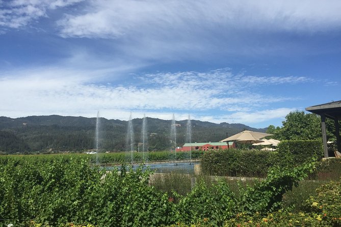 8-Hours Private Limo(up to 8 pass.) Wine Tour of Napa Valley from San Francisco - A few practical ways to improve the day