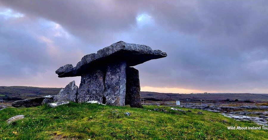 Cliffs of Moher and National Park Private Limousine Tour - The Burren’s pale limestone country