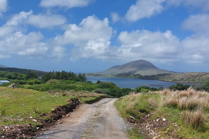 Connemara Sheep Farm experience & Kylemore Abbey by Lux Limousine - Killary Fjord and the village of Leenane