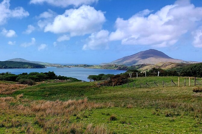 Connemara Sheep Farm experience & Kylemore Abbey by Lux Limousine - A working sheep farm in Killary