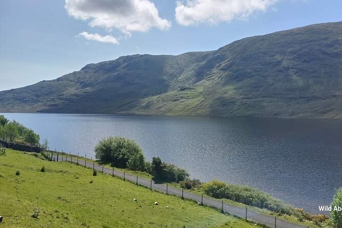 Connemara Sheep Farm experience & Kylemore Abbey by Lux Limousine - What Derek adds to the day