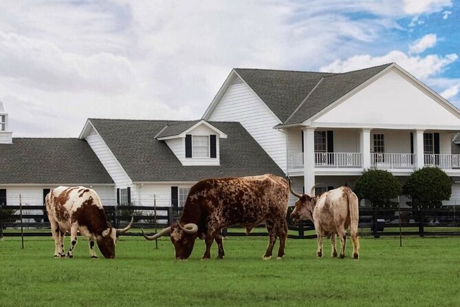Dallas Southfork Ranch Private Limousine Tour - Cost, admission, and what you actually receive