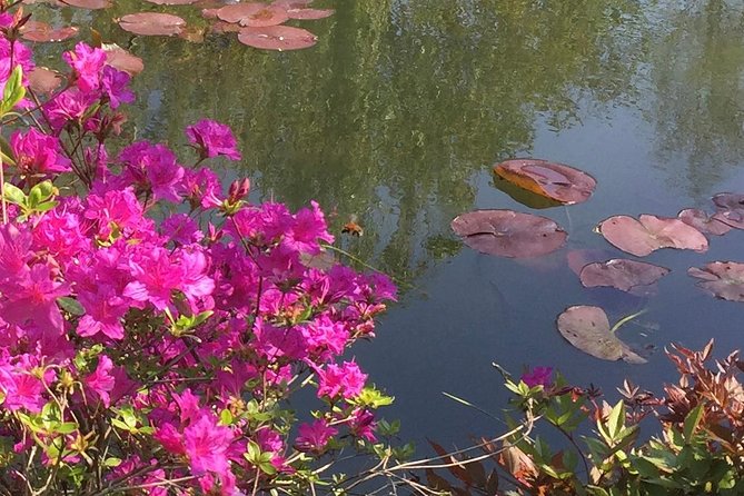 Excursion CHATEAU DE VERSAILLES and GIVERNY in Limousine from Paris - What the private format is worth
