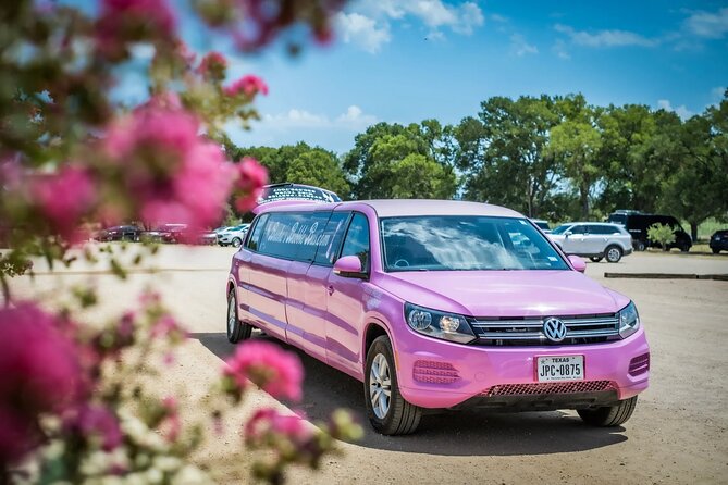 Fredericksburg Private Wine Tour Volkswagen Limo - Who should book this Fredericksburg outing