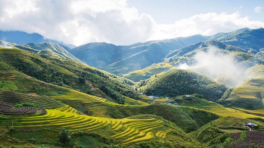 From Hanoi: 2-Day Overnight Sapa Tour by Limousine - Lunch, check-in, and the first Sapa afternoon