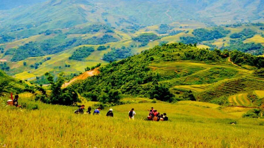 From Hanoi: 2-Day Overnight Sapa Tour by Limousine - The nine-kilometer route through Muong Hoa Valley