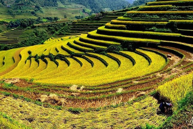 From Hanoi: 2-Day Overnight Sapa Tour by Luxury Van Limousine - Y Linh Ho, Lao Chai, and Ta Van
