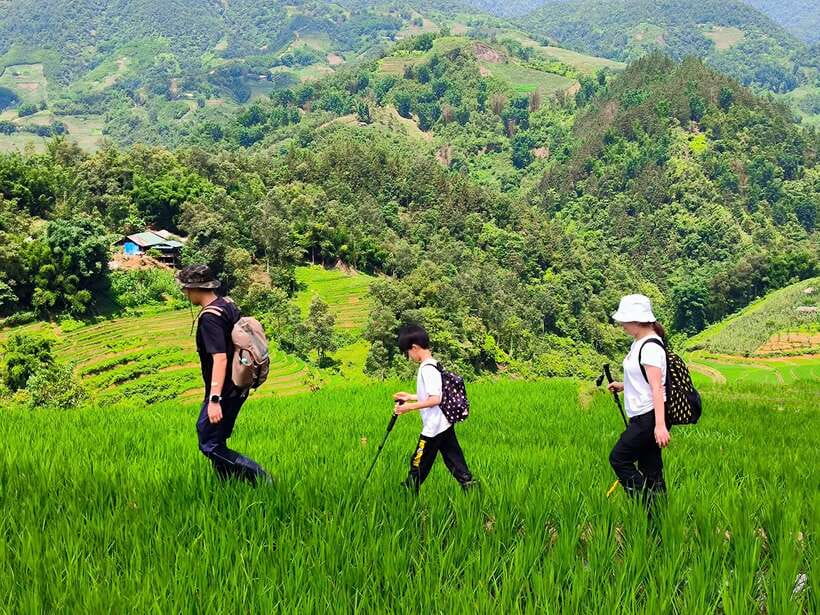 From Hanoi: 2-Day Sapa Trek Tour - Luxury Limousine Transfer - Timing, weather, and the Sapa town problem