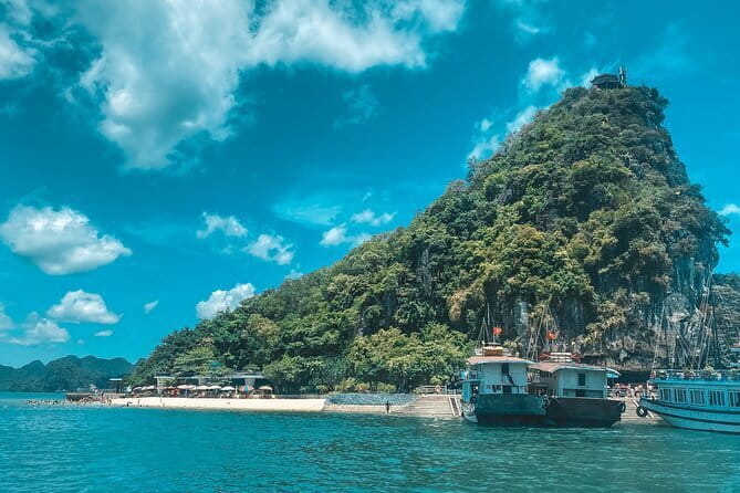 From Hanoi: Best Halong 5-Star Day Cruise, Buffet Lunch,Limousine - Luon Cave, where you choose the pace