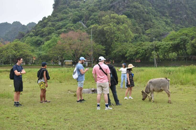 From Hanoi: Ninh Binh, Hoa Lu, Tam Coc, & Mua Cave Day-Trip - Guides who shape the day