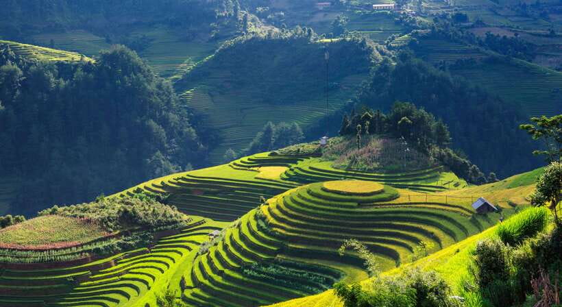 From Hanoi: Premium 2-Day Sapa Adventure with DCAR Limousine - Day one on the Ta Van village route