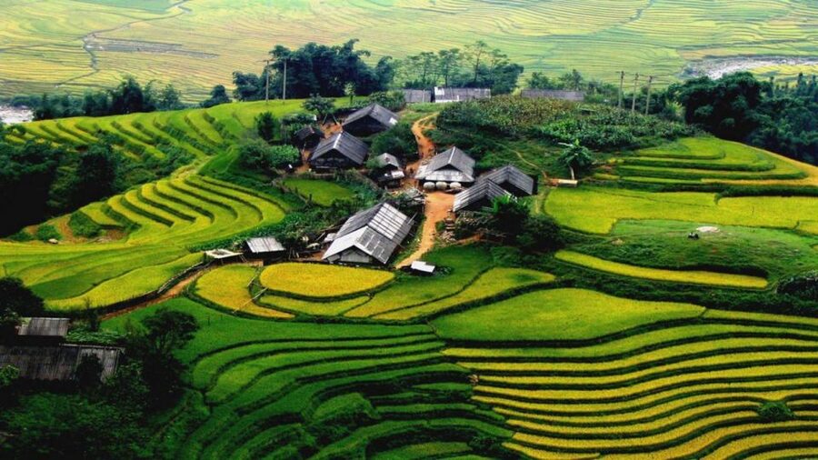 From Hanoi: Sapa 3-Day Medium Trek and Limousine Trip - Why this Sapa trip feels different from a quick day tour