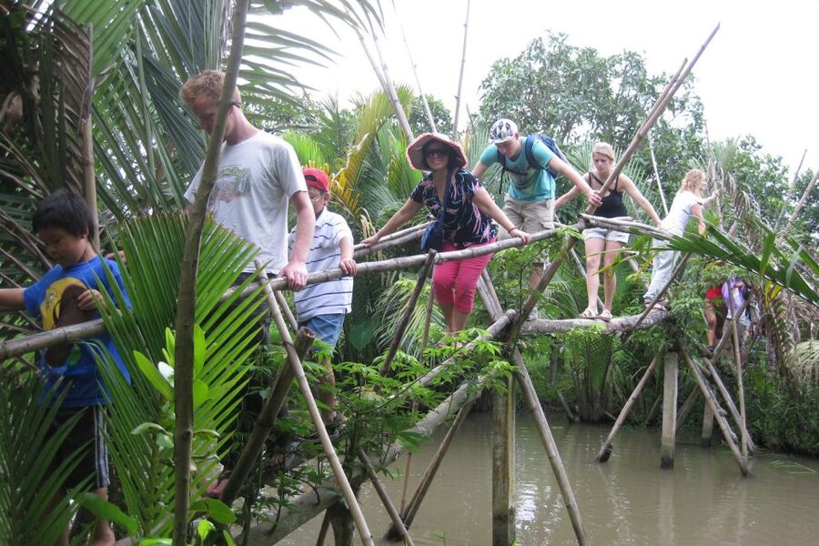 From Ho Chi Minh City: Mekong Delta VIP Tour by Limousine - A village walk with fruit, honey, and music