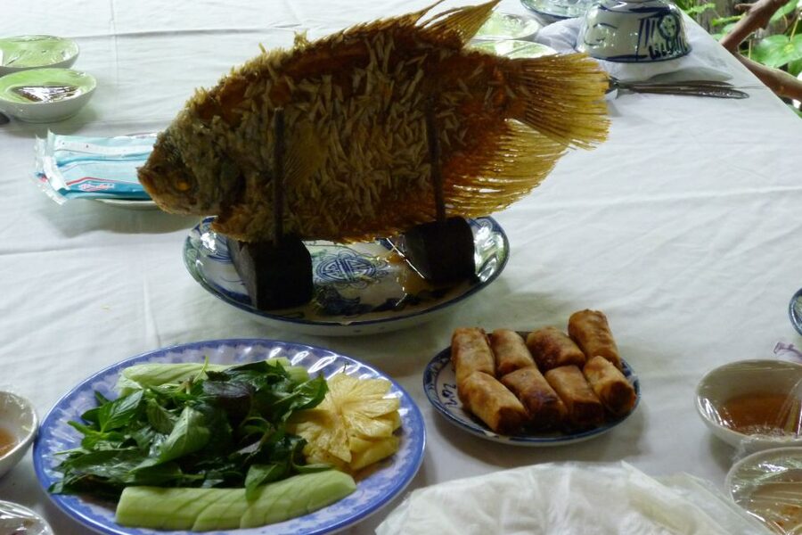 From Ho Chi Minh City: Mekong Delta VIP Tour by Limousine - Vietnamese lunch in a shaded setting