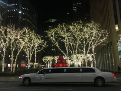 From Manhattan: Private Brooklyn Christmas Tour by Limousine