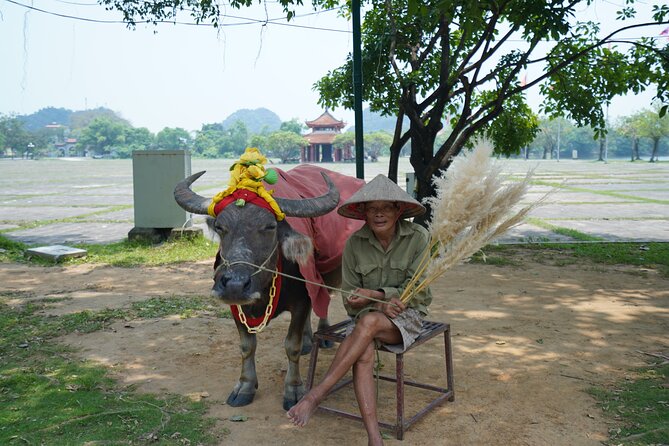 Full Day Hoa Lu/Tam Coc/ Mua Cave Tour by Limousine Bus - Hoa Lu and the Dinh and Le temples