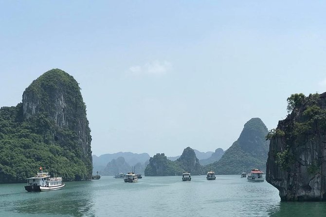 HaLong Bay 1Day 6hrs cruising - Alova Premium Cruise - Limousine - Surprising Cave and the Bo Hon archipelago