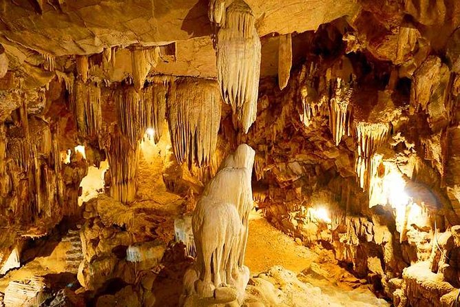 Hanoi - Hoa Lu - Tam Coc - Mua Cave - 1 Day / By Luxury Limousine & Small Group - What the $59 price really covers