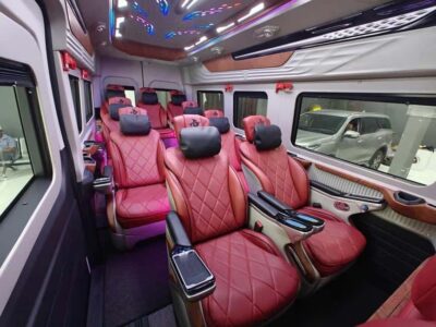 Ho Chi Minh: Cu Chi Tunnels–VIP Limousine (AM/PM) Lunch opt