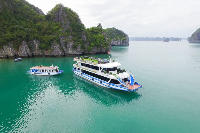 La Casta Cruise - Luxury Day Tour in Halong Bay (Expressway- Limousine) - What a $75 Halong Bay day really includes