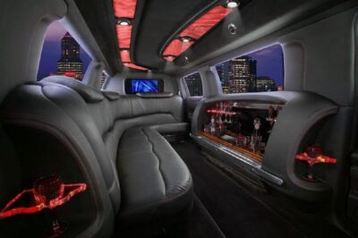 Private Limousine Tour, 4, 5, or 6 hrs.