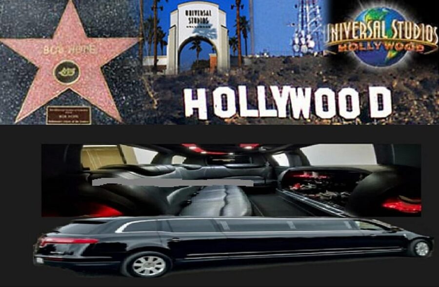 Los Angeles: Private Limousine Tour, 4, 5, or 6 hrs. - Santa Monica Pier and Venice Beach