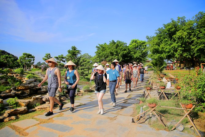 Luxury Hoa Lu Tam Coc Mua Cave 1 Day With Limousine Bus And Lunch - What the $52 price includes