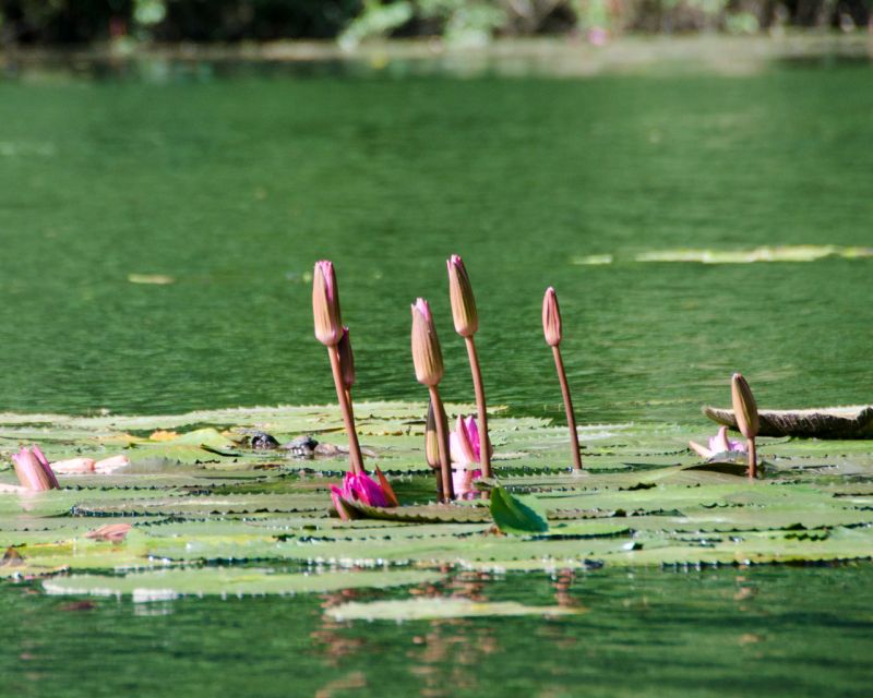 Luxury Limousine Tour: Hoa Lu, Trang An/Tam Coc & Mua Cave - Who should book this day trip?