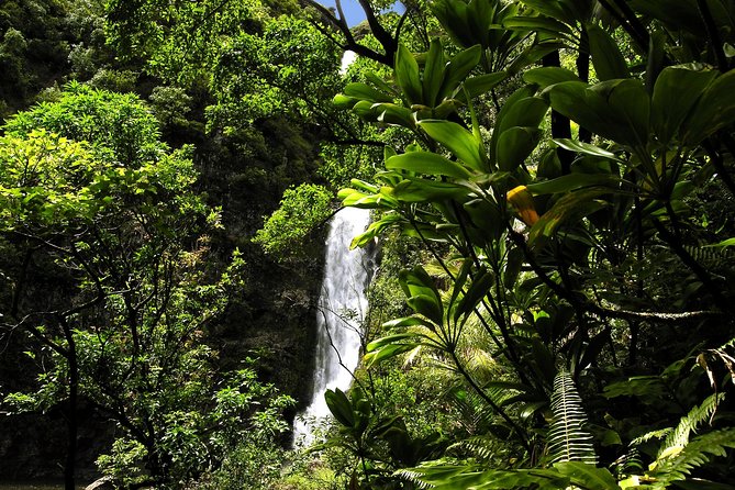 Maui: Road to Hana Luxury Limo-Van Tour with Helicopter Flight - Wai’anapanapa and Maui’s black-sand shore
