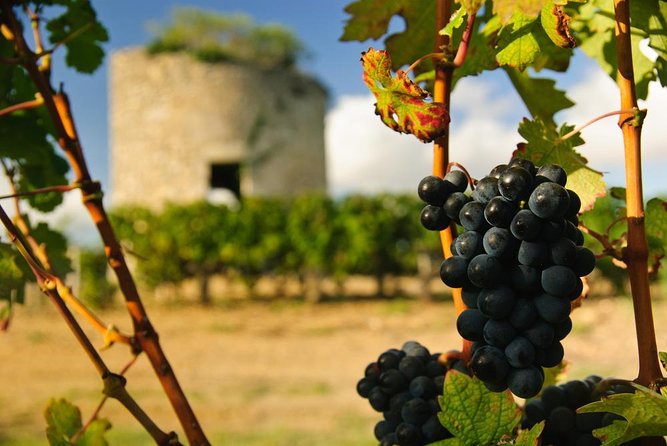 Médoc luxury wine tour aboard a Citroën DS Limousine Convertible - The key points at a glance