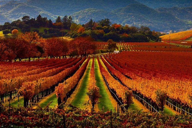 Napa - Sonoma Limo up to 9 passengers - A private wine-country day in a Sprinter van