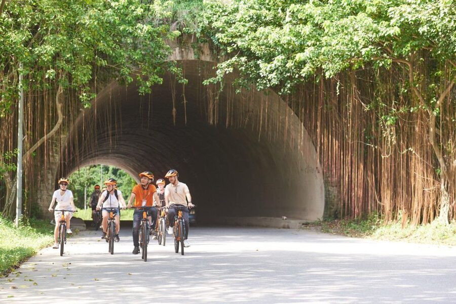 Ninh Binh 1 Day,HoaLu-Tam Coc-Mua Cave,Buffet Lunch,Limo Bus - Mua Cave and the climb to Lying Dragon Mountain
