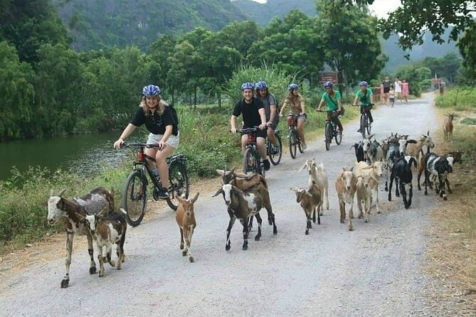 Ninh Binh 2 Days Luxury Limousine Small Group Option 3 Star - Lunch in Ninh Hai, then Tam Coc by bamboo boat