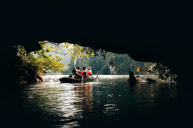 Ninh Binh Full Day Tour from Hanoi by Limousine - Trang An Grottoes: the strongest boat option