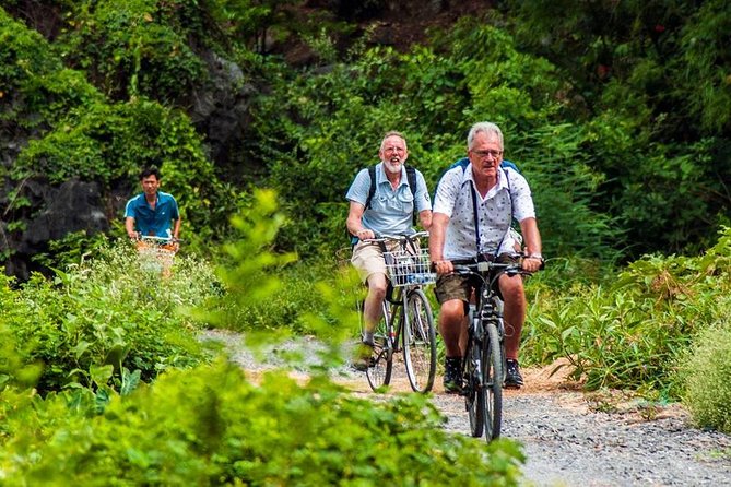 Ninh Binh Tour Hoa Lu Tam Coc Full Day: Biking,Boating,Tickets,Lunch, Limousine - Vietnamese lunch near Tam Coc