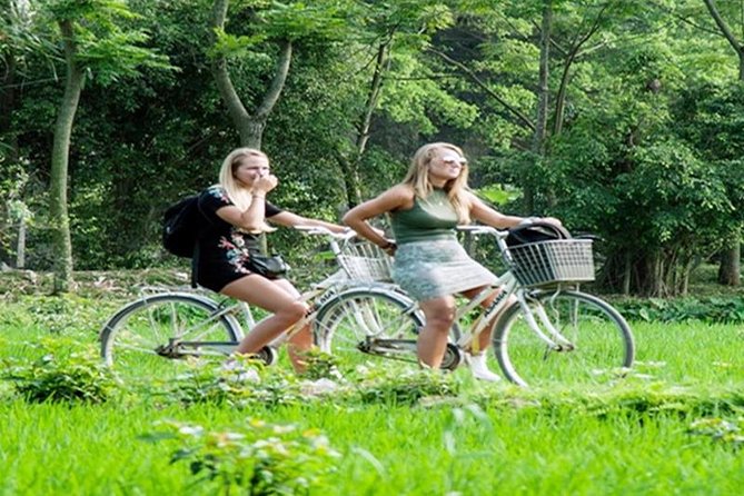 Ninh Binh Tour Hoa Lu Tam Coc Full Day: Biking,Boating,Tickets,Lunch, Limousine - Cycling through villages and rice fields