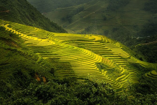 Noi Bai airport transfer by luxury Limousine Bus to Sapa from Hanoi - Comfort limits worth knowing before you book