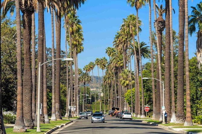 Private 4-Hour Limo Tour of LA by a TV Personality with Drinks - Downtown LA and Griffith Park