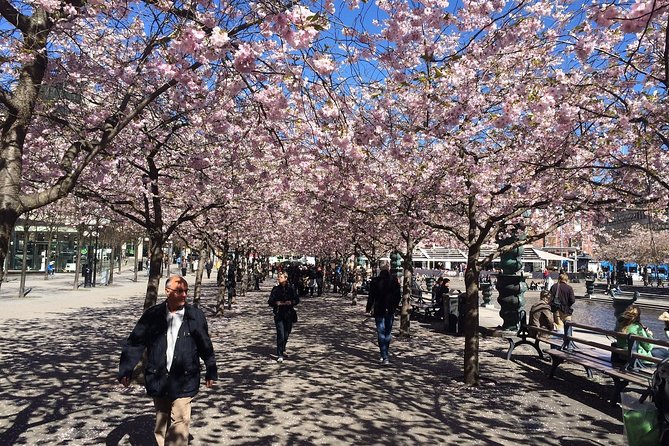 Private 4h VIP city tour by limousine car and guide in Stockholm - Central Stockholm from the car